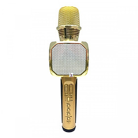 Micro Karaoke Kèm Loa Bluetooth SD10 (Màu ngẫu nhiên) - Hàng Nhập Khẩu