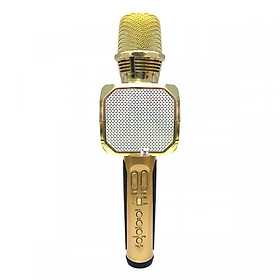 Mua Micro Karaoke Kèm Loa Bluetooth SD10 (Màu ngẫu nhiên) - Hàng Nhập Khẩu