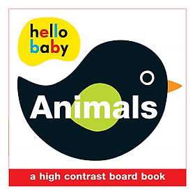 Animals: Wipe Clean Activity Flashcards - Wipe Clean Activity Flashcards (Board book)