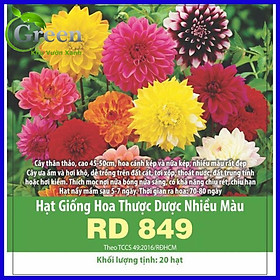 Mua Hạt Giống Hoa Thược Dược Nhiều Màu