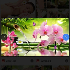Mua Tranh 3D dán quán Spa