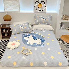 Mua Chiếu cao su non latex  Chiếu điều hòa 5d siêu cấp CHIC họa tiết xinh hàng chuẩn loại 1 cực êm  mát.(dn)