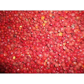 Hạt giống Cẩm Thái Lan (muồng cườm, cẩm đỏ) CT549 - Gói 50 hạt