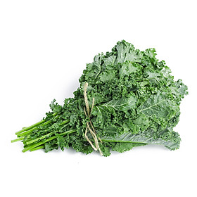 CẢI KALE