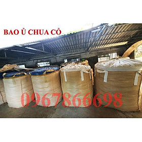 Mua Bao ủ chua cỏ