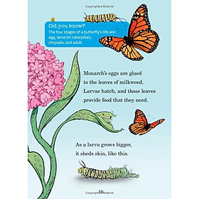Hình ảnh Hug A Bug: How YOU Can Help Protect Insects (Dr. Seuss's The Lorax Books)
