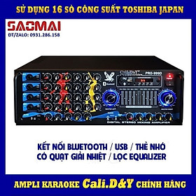 Hình ảnh Amply Bluetooth Karaoke gia đình 16 sò lớn Cali.D&Y PRO 999D - Hàng chính hãng