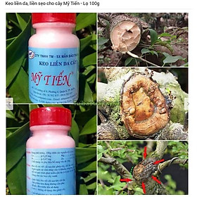 Mua Keo liền da  liền sẹo cho cây Mỹ Tiến - Lọ 100g