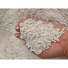 Đá perlite 100gram trộn đất sen đá làm giá thể tơi xốp