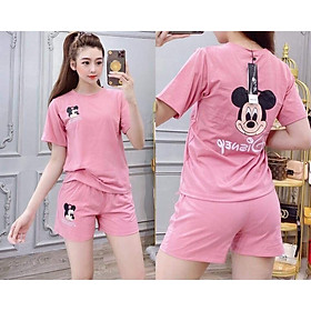 Set áo thun nữ quần đùi nữ cotton MK co giãn 4 chiều nhiều màu / có size XXL