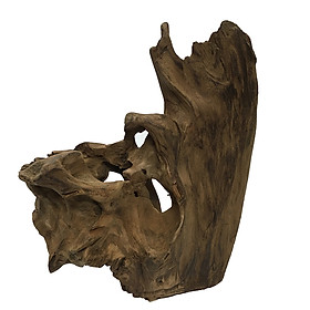 Gỗ lũa ngọc am tự nhiên phong thủy (Mã 37 29cm x 22cm x 0,9kg)