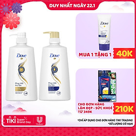 Combo Dove Phục Hồi Hư Tổn Dầu Gội 640g + Kem Xả 610g