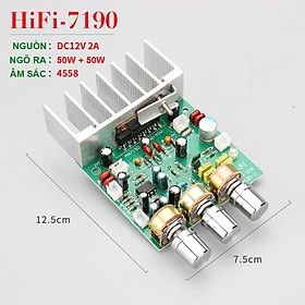 Mua Bảng mạch khuếch đại công suất AN7190 DC12V 50W + 50W 2.0 kênh Tự làm loa Bảng khuếch đại công suất HIFI