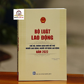Bộ Luật Lao Động Chế Độ, Chính Sách Mới Hỗ Trợ Người Lao Động, Người Sử Dụng Lao Động Năm 2022