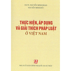 [Download Sách] Thực Hiện, Áp Dụng Và Giải Thích Pháp Luật Ở Việt Nam