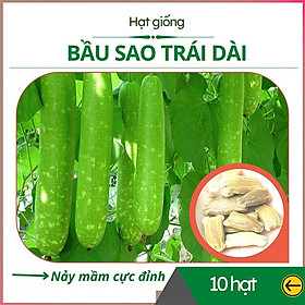 Mua Hạt Giống Bầu Sao Trái Dài F1 - MV09 - Gói 10 Hạt