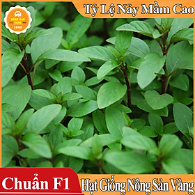 Mua Hạt giống Rau Húng Quế ( Gói 5 Gram ) - Nông Sản Vàng