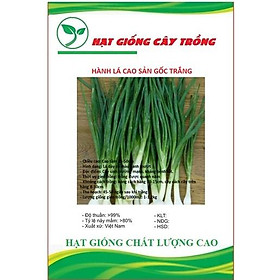 Hạt giống hành lá cao sản gốc trắng CT127 - Gói 2gram