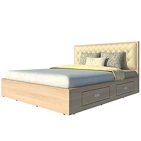 Mua Giường ngủ 2 hộc kéo Tundo 180cm x 200cm