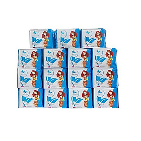 Bộ băng vệ sinh ban đêm lưới BELLE FLORA