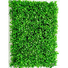 Tấm cỏ nhựa xà lách xoong