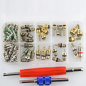 102 pieces A/C System Schrader Valves with Remover Tool Kit For R12/ R134A