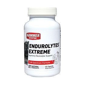 Viên uống điện giải- Hammer Nutrition Endurolytes Extreme