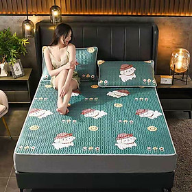Mua Chiếu Điều Hòa Cao Su Non Mặt Vải Lụa TENCEL | Hàng Nhập Khẩu Có Sẵn Mới Nhất 2021 | Mã 03
