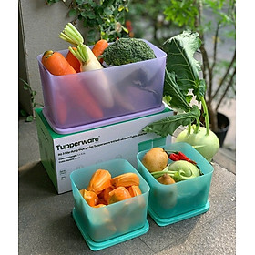Bộ 3 Hộp Đựng Thực Phẩm Tupperware Trữ Khô Và Mát Cubix Starter