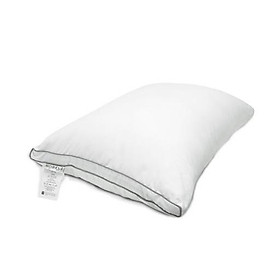 Mua Ruột gối STANDARD SOFT 45*65 (PHIÊN BẢN NÂNG CẤP CỦA GỐI TRUYỀN THỐNG LOẠI CAO)