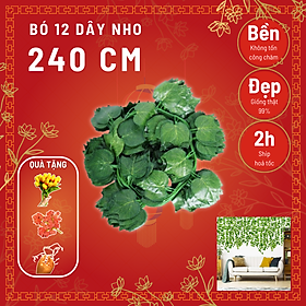 Mua Dây Lá Thường Xuân Dây Lá Nho 2m  - trang trí tường rào  giàn hoa  dây leo