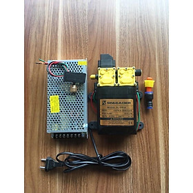 Mua Bơm đôi sinleader kèm nguồn tổ ong và điều tốc chiếc áp ứng dụng trong phun tưới. cây cảnh sịt rửa máy lạnh rửa xe....