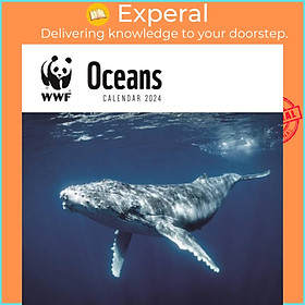 Sách - WWF Oceans Square Wall Calendar 2024 by  (UK edition, paperback)