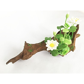 Lũa gỗ hình dáng tự nhiên kết hợp Hoa sen đất sét mini (2 bụi sen trắng) - Quà tặng trang trí handmade (20x10x10cm)