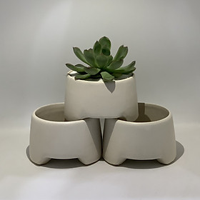 Bộ 3 Chậu Sứ - 9x9x6 Cm - Mầu Trắng - Dáng Kiềng - Chậu Trồng Cây Mini Để Bàn, Sen Đá, Xương Rồng, Cây Cẩm Nhung (Fittonia, May Mắn) & Tiểu Cảnh Terrarium