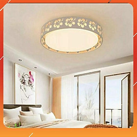 Đèn ốp trần phòng ngủ, phòng ăn, hành lang, chiếu nghỉ Kích thước D450mm ánh sáng tiết kiệm điện 3 chế độ sáng