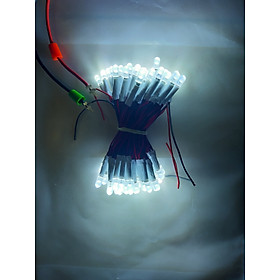 Mua Led liền dây 100 bóng điện áp 5V và 12V  Led ruồi đơn sắc (Trắng  đỏ  vàng  xanh lá...)