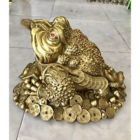 Mua Thiềm thừ ngậm tiền bằng đồng cao 25cm