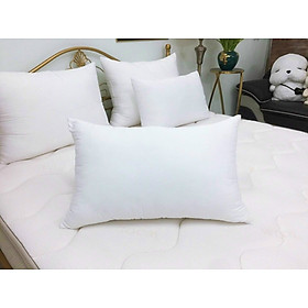 Mua Ruột gối CQ01