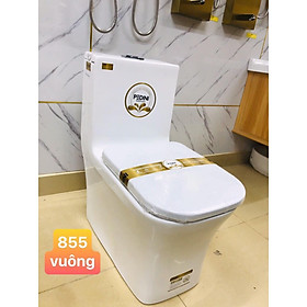 Mua Bệt vệ sinh liền khối PDN 855V - Hàng Chính Hãng