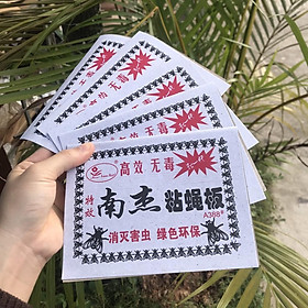 Combo 50 vỉ keo dính ruồi, vỉ ruồi, bẫy ruồi siêu dính