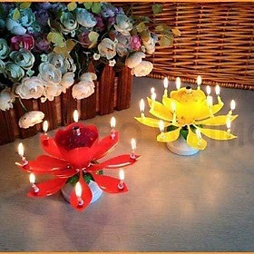 Mua Nến sinh nhật phát nhạc nở hoa