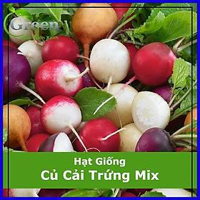 Mua Hạt Giống Củ Cải Trứng Tròn Mix Nhiều Màu (100 Hạt)