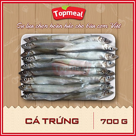 HCM - Cá trứng (700g)  - Thích hợp với các món nướng, chiên xù, sốt, kho tiêu,...  - [Giao nhanh TPHCM]