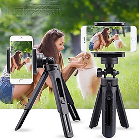 Mua GIÁ ĐỠ ĐIỆN THOẠI 3 CHÂN TRIPOD MT01 XOAY 360 ĐỘ