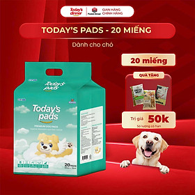 TODAY'S PADS - Miếng lót vệ sinh cho chó, loại 20/50/100 miếng