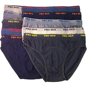 Combo 10 quần lót nam Pro Ben bảng nhỏ MS951