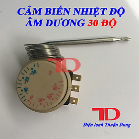 Sâu lạnh cảm biến nhiệt độ âm dương 30 độ