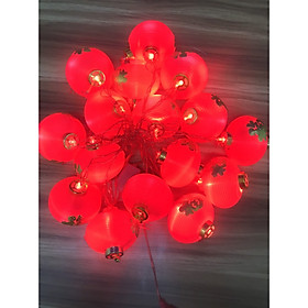 Mua Dây lồng đèn