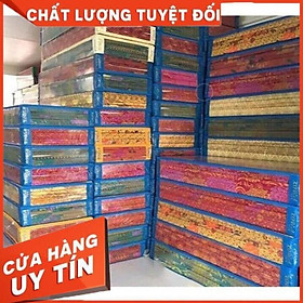 Nệm Pe Giá rẻ 10 phân - 5 phân
